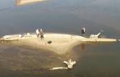Trwa identyfikacja wraków na Wiśle – relacja wideo www.q4.pl Trwa identyfikacja wraków na Wiśle – relacja wideo www.q4.pl